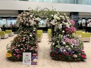 花の王国あいち、ラスト一日です|「ミルフルーリスト」　（愛知県刈谷市の花屋）のブログ